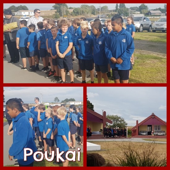Parawera Marae Poukai